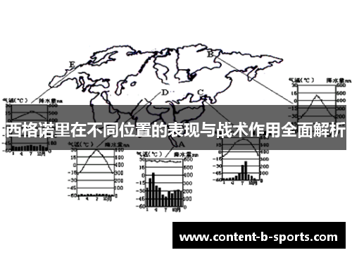 西格诺里在不同位置的表现与战术作用全面解析 西格诺里在不同位置的表现与战术作用全面解析