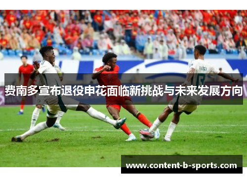 费南多宣布退役申花面临新挑战与未来发展方向