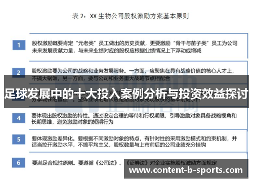 足球发展中的十大投入案例分析与投资效益探讨